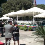 Palco 18x6 8