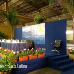 palco 8x4 7