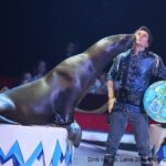 SPETTACOLI CIRCENSI (4)