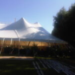 IMG00048-20100816-1656-1024x768